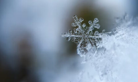 Copos de nieve