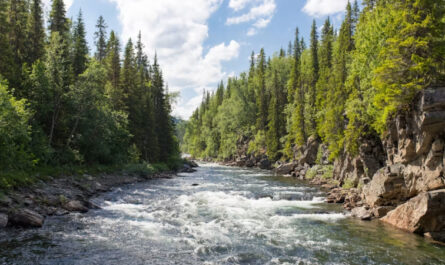 Río